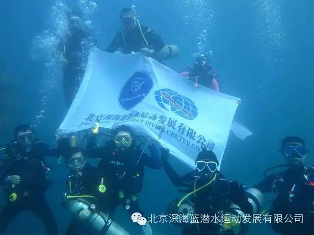 救援可爱小猪仔